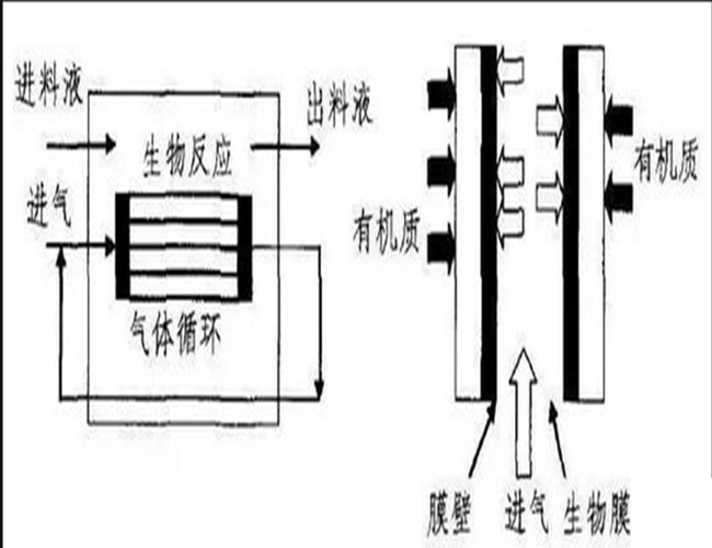 无泡曝气膜生物反应器